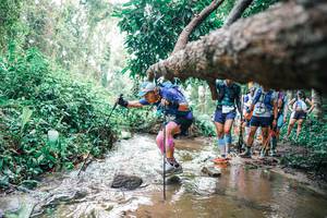 BIB: 
                            <button type="button" onclick="openModal(25373234)" class="btn btn-primary btn-sm float-right btn-popup" data-toggle="modal" data-target=".modal-high-quality">
                        <i class="fas fa-shopping-cart"></i> Add to Cart
                    </button>
                                            <button type="button" onclick="isThisMe(25373234, true)" class="btn btn-success btn-sm float-right btn-popup btn-isme hidden" data-toggle="tooltip" data-placement="bottom" title="นี่คือรูปของคุณใช่ไหม คลิกที่นี่เพื่อเอาเข้าอัลบั้ม">
                        <i class="fas fa-plus"></i> Add to album
                    </button>
                    <button type="button" onclick="isThisMe(25373234, false)" class="btn btn-warning btn-sm float-right btn-popup btn-isnotme hidden">
                        <i class="fas fa-ban"></i> Remove from album
                    </button>